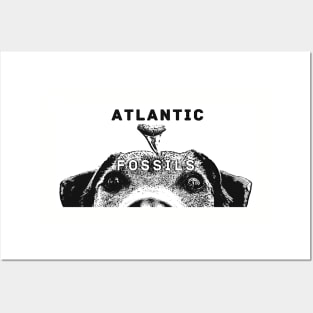 Dog and Shark Tooth Black and White Posters and Art